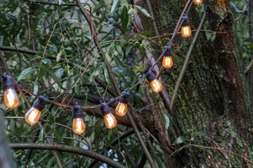 Tranquil outdoor scene at dusk, string lights illuminating two bare trees Warmly glowing opaque...