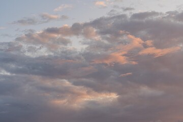 A sunset viewed from below, showcasing a gradient of pink, orange, and blue cloudscape stretching across the sky a