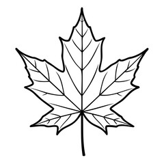 A simple black and white line drawing of a maple leaf, isolated, showcasing its iconic fivelobed shape and intricate vein pattern