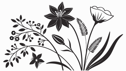 Black And White Floral Silhouette Collection Botanical Nature Plants And Flowers Vector Illustration For Spring And Summer Design