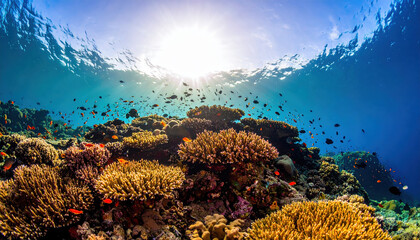 Coral reef underwater with colorful fish swimming around vibrant coral formations under bright sunlight in clear blue ocean water creating lively marine ecosystem