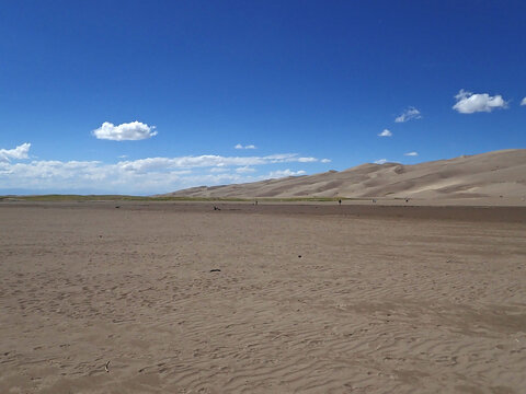 Sweeping Dune Landscape at Great Sand Dunes National Park