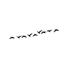 Flock of birds flying in formation vector silhouette migration pattern