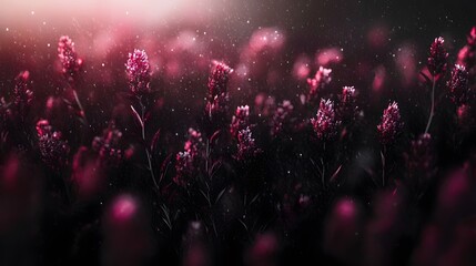 Enchanted Dark Pink Flower Field at Dusk Artistic Nature Photography