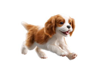 Cute puppy in running pose transparent background