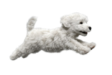 Cute puppy in running pose transparent background