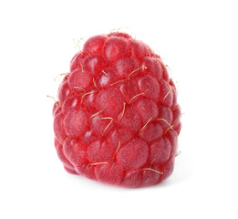One fresh tasty raspberry isolated on white