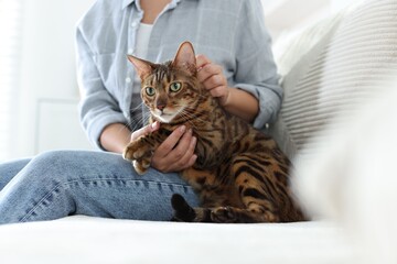 Woman with cute Bengal cat on sofa at home, closeup. Adorable pet