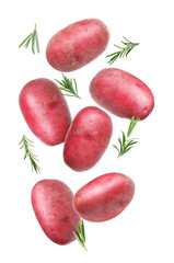 Fresh red potatoes with rosemary falling on white background