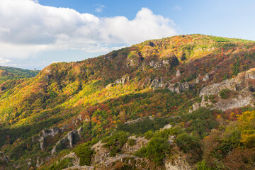 Naklejka premium 日本の風景・秋 香川県小豆島 紅葉の寒霞渓