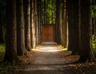 A forest path lined with tall trees leads to a pair of wooden doors at the end.