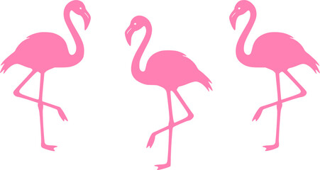 Obraz premium flamingos vector silhouette art illustration