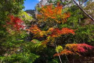 日本の風景・秋　香川県小豆島　紅葉の寒霞渓　石門（裏八景）