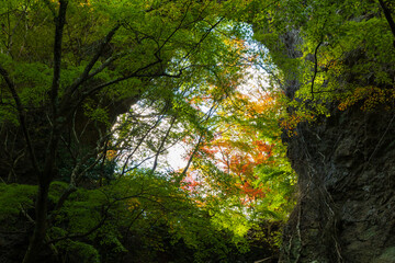 日本の風景・秋　香川県小豆島　紅葉の寒霞渓　石門（裏八景）