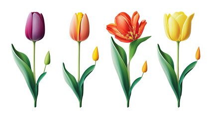 Obraz premium Colorful tulips in a row