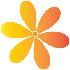 orange flower isolated on white