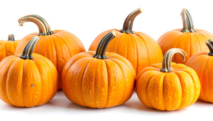 Obraz premium Collection of Bright Orange Pumpkins with Distinctive Ribbed Surfaces on White Background