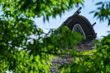茅葺屋根と新緑