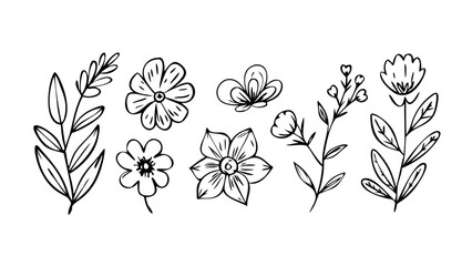 Hand Drawn Floral Elements Silhouette doodle botanical