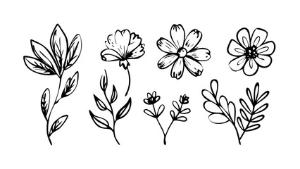Hand Drawn Ink Flowers and Leaves floral botanical