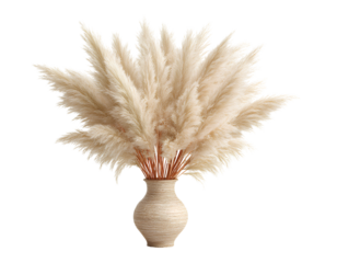 A bouquet of fluffy pampas grass in a textured ceramic vase, isolated on a transparent background, PNG