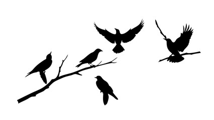 Black Cat Silhouette animal minimalist