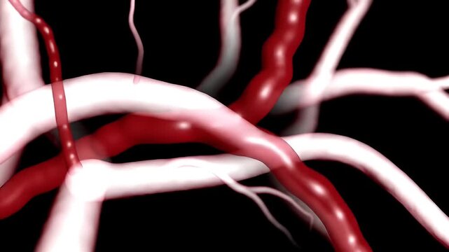 Red  White Vessels with 3D Render.