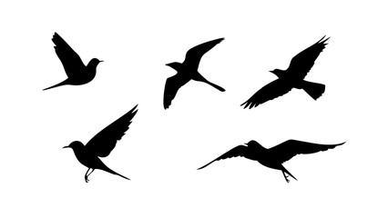 Minimalist black silhouette of a bird in flight wings