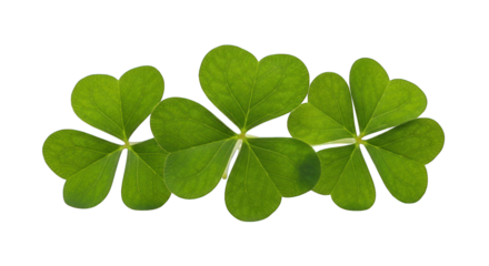 Three vibrant green shamrocks clustered together on a stark black background