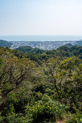 鎌倉25821　建長寺6