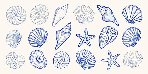 Collection of hand drawn blue line art seashells and starfish on a light background