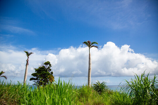奄美大島のの夏の空、