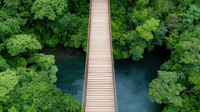 Wooden bridge spans lush green forest, creating serene connection over tranquil stream - Powered by Adobe
