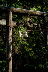 鎌倉25827　五所神社1