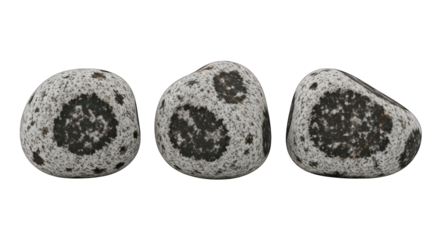 Three smooth rocks, spotted with dark circles, are isolated on a black background
