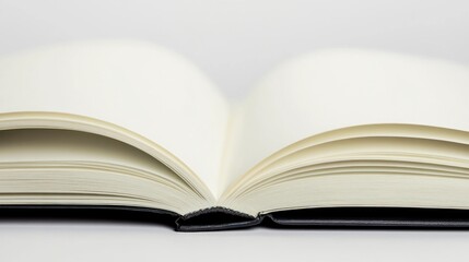 Obraz premium Open book blank pages minimalist education design