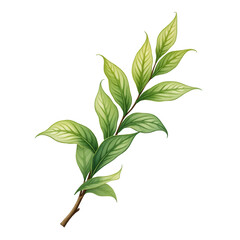 Fototapeta premium A delicate branch with vibrant green leaves, highlighted by soft shading, sits against a striking black background.