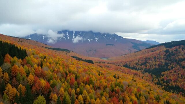 Aerial view of colourful forest on mountain slopes and cloudy sky. Canada
