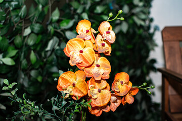 buqu&ecirc; de flores.