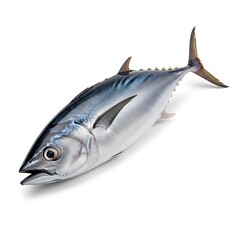 Fresh catch of the day, a whole raw tuna fish with metallic blue skin, isolated on a clean white background for culinary concepts