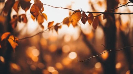 A delicate branch with crisp, brown autumn leaves against a soft, warm bokeh background during golden hour. - Powered by Adobe