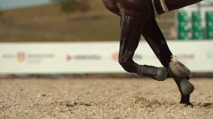 In the arena, a horse showcases its strength as it gallops swiftly. The close-up captures detailed movements of its legs, emphasizing grace and power against the sandy ground.
