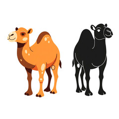 cartoon camel with silhoutte illustration