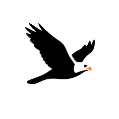 Falcon Eagle Hawk Bird fying negative space silhouette vector
