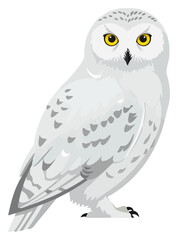 Fototapeta premium A white snowy owl with yellow eyes stands facing forward, depicted in a vector illustration.