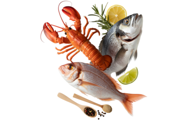 Fresh lobster and fish with lemon and herbs isolated on transparent background