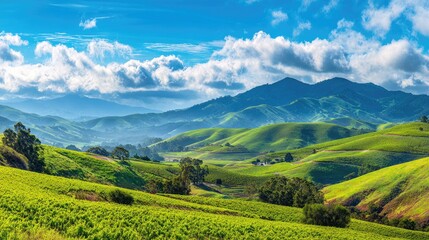 Fototapeta premium Green Lush Hills Valley Landscape With Cloudy Sky