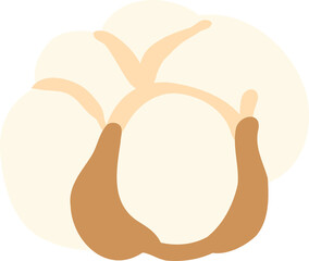 Cotton Flower Clipart, Rustic Farmhouse Cotton PNG, Fall Harvest Botanical Illustration