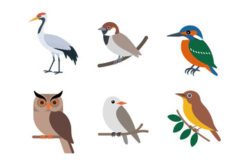 Birds and owls icon bundle, heron kingfisher sparrow pigeon on branch, nature clipart, flat vector