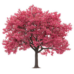 Crabapple tree isolated on transparent background PNG	
